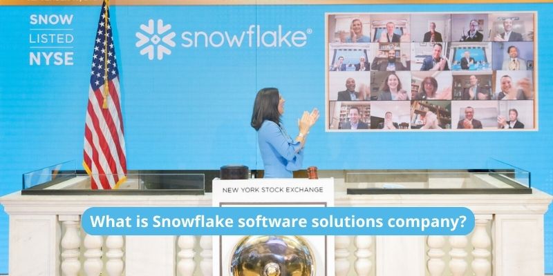 What is Snowflake software solutions company