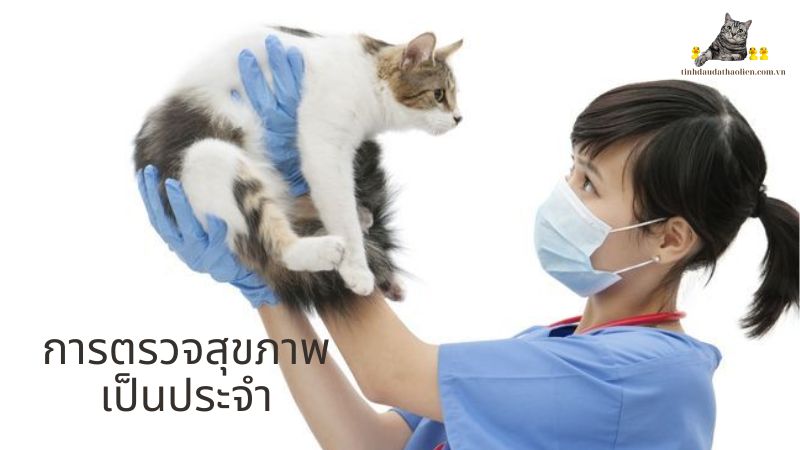 การตรวจสุขภาพเป็นประจำ