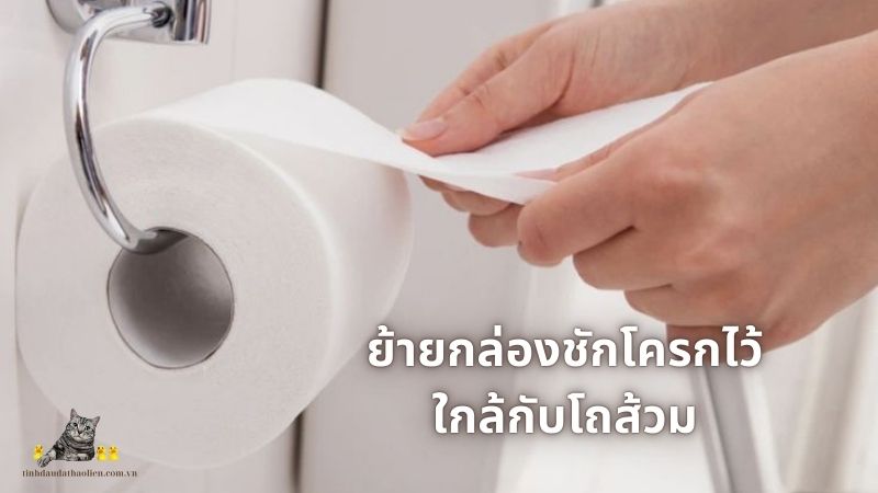 วิธีสอนแมวให้เข้าห้องน้ำ