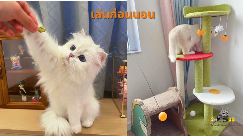 เล่นก่อนนอน