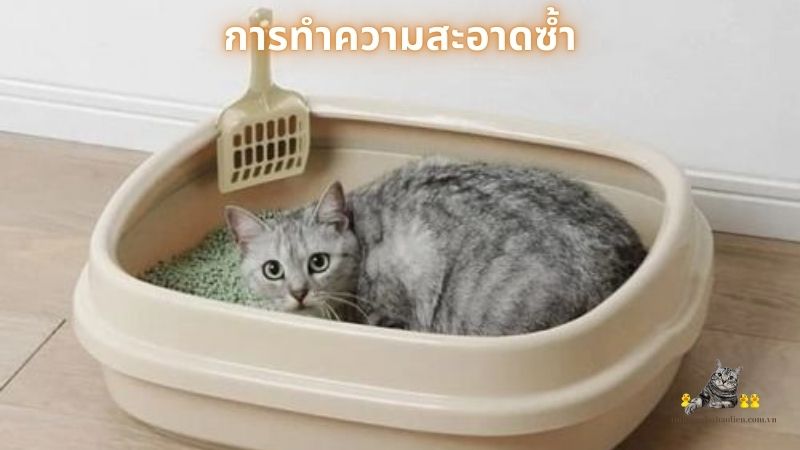 การทำความสะอาดซ้ำ